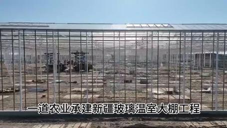 一道农业承建新疆玻璃温室大棚工程