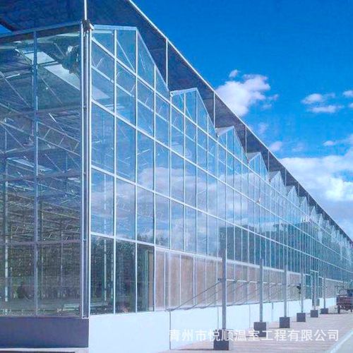 文洛型连栋智能玻璃温室工程 花卉养殖的现代化解决方案