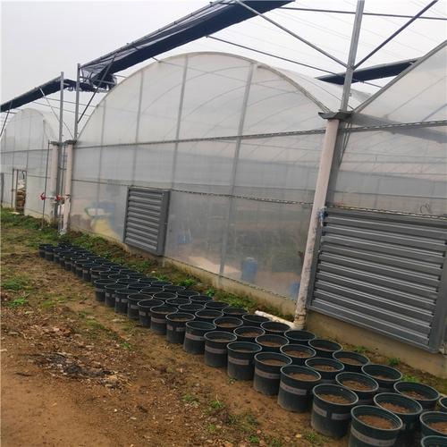 温室大棚工程全解析 大棚钢架安装搭建的关键技术与实践指南