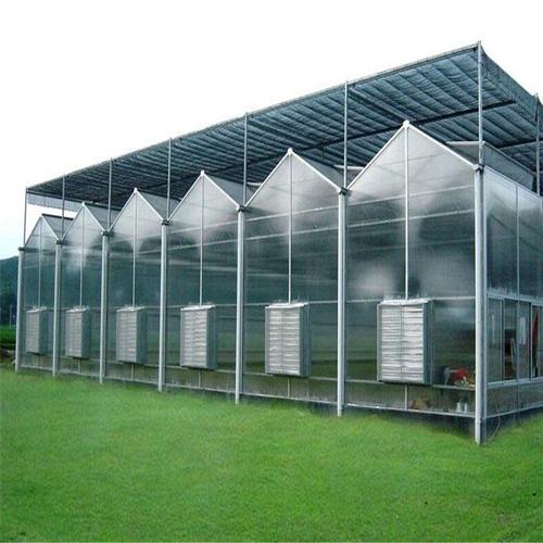 阳光板温室与智能温室大棚 温室工程厂家的全方位解析
