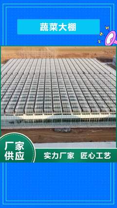日照金荣圣 智能温室大棚引领现代农业的新引擎