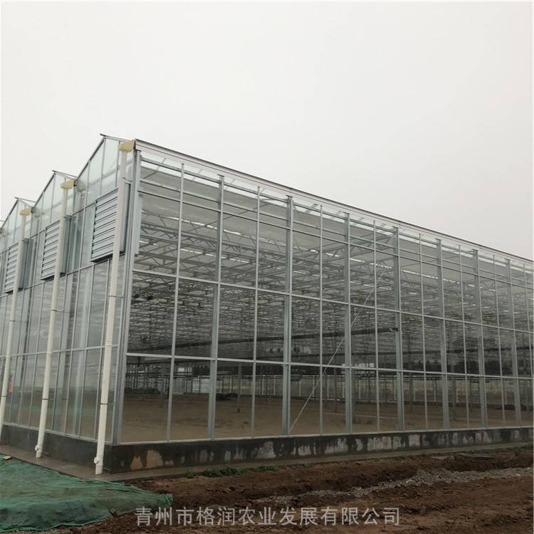 小型玻璃温室 西安玻璃温室大棚建造全指南