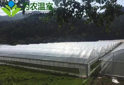 常州连栋智能温室建设 温室大棚工程的全流程解析