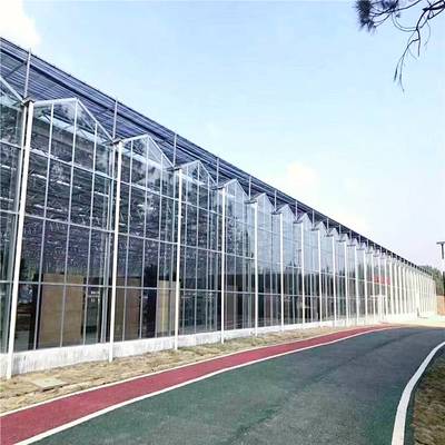 智能温室玻璃大棚 纹络型温室工程的承建要点与全流程解析