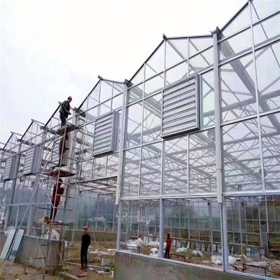 智能温室玻璃大棚 纹络型温室的设计、承建与工程实践